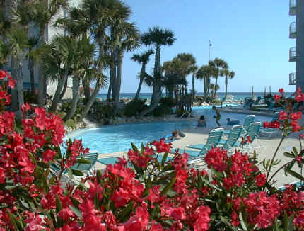 LB_pool.jpg (52150 bytes)